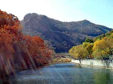 新澳天天开奖资料大全旅游团，上海智城恒温摇床